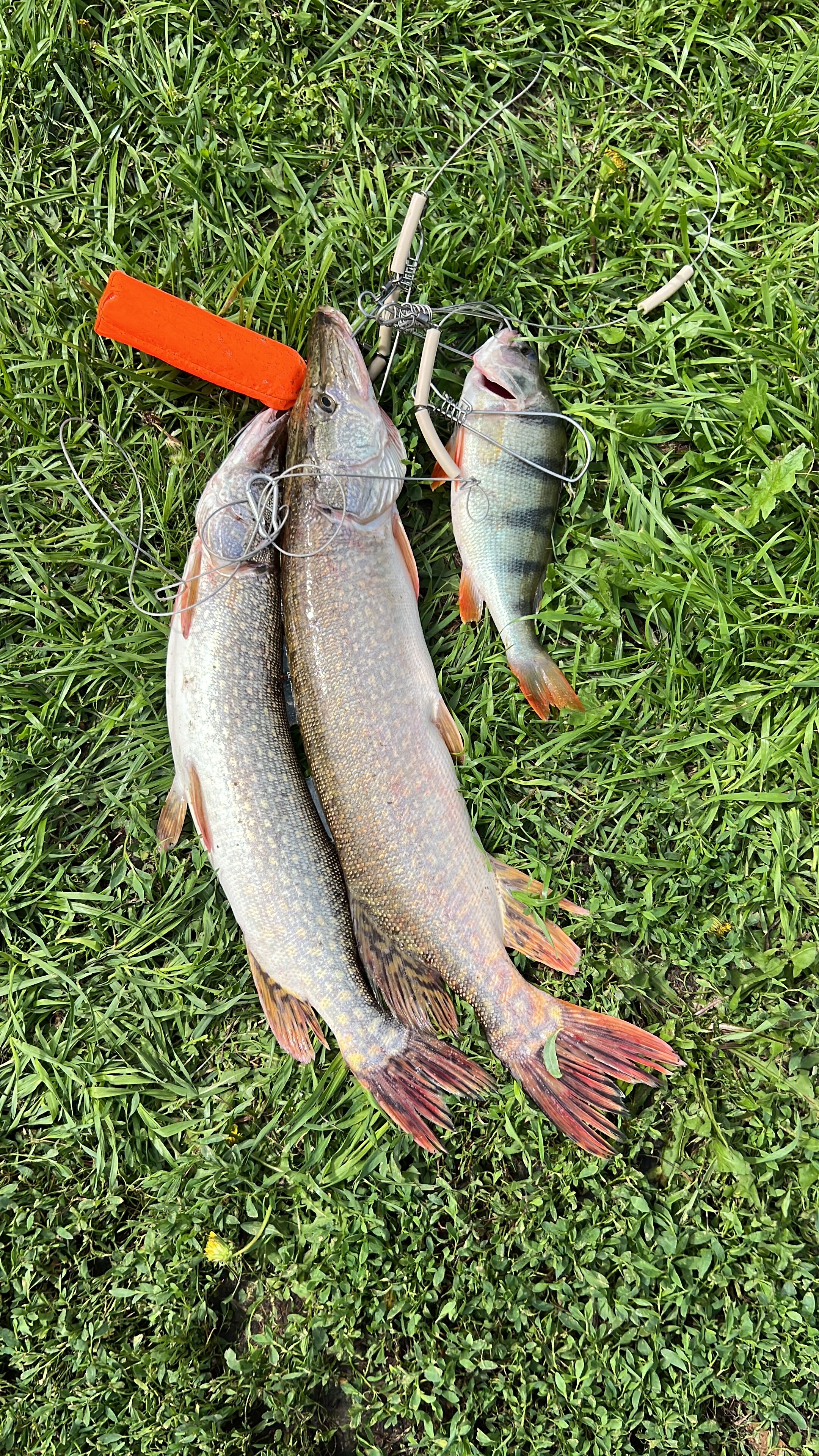 Фото Согринский берег