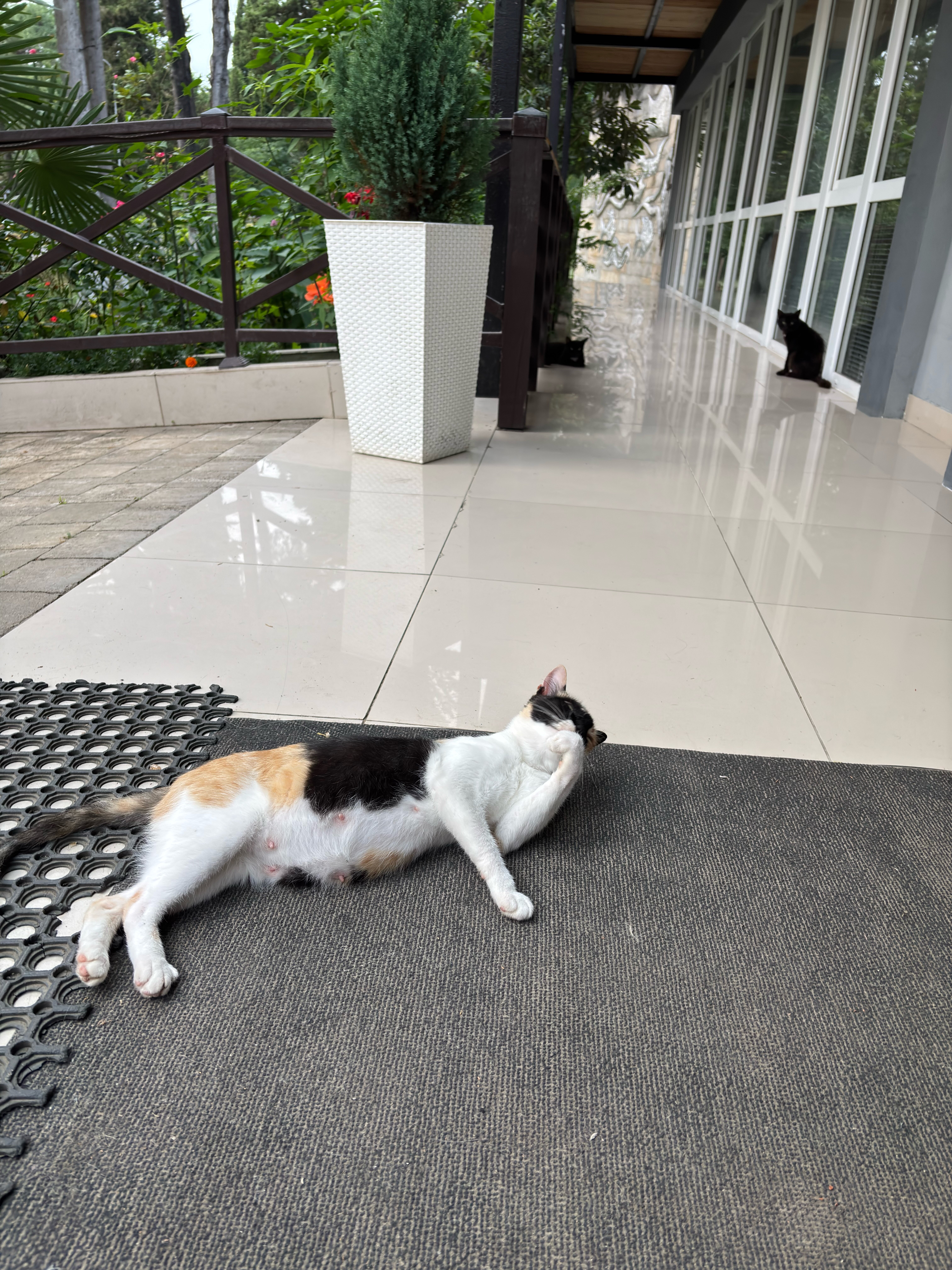 Фото Пицунда