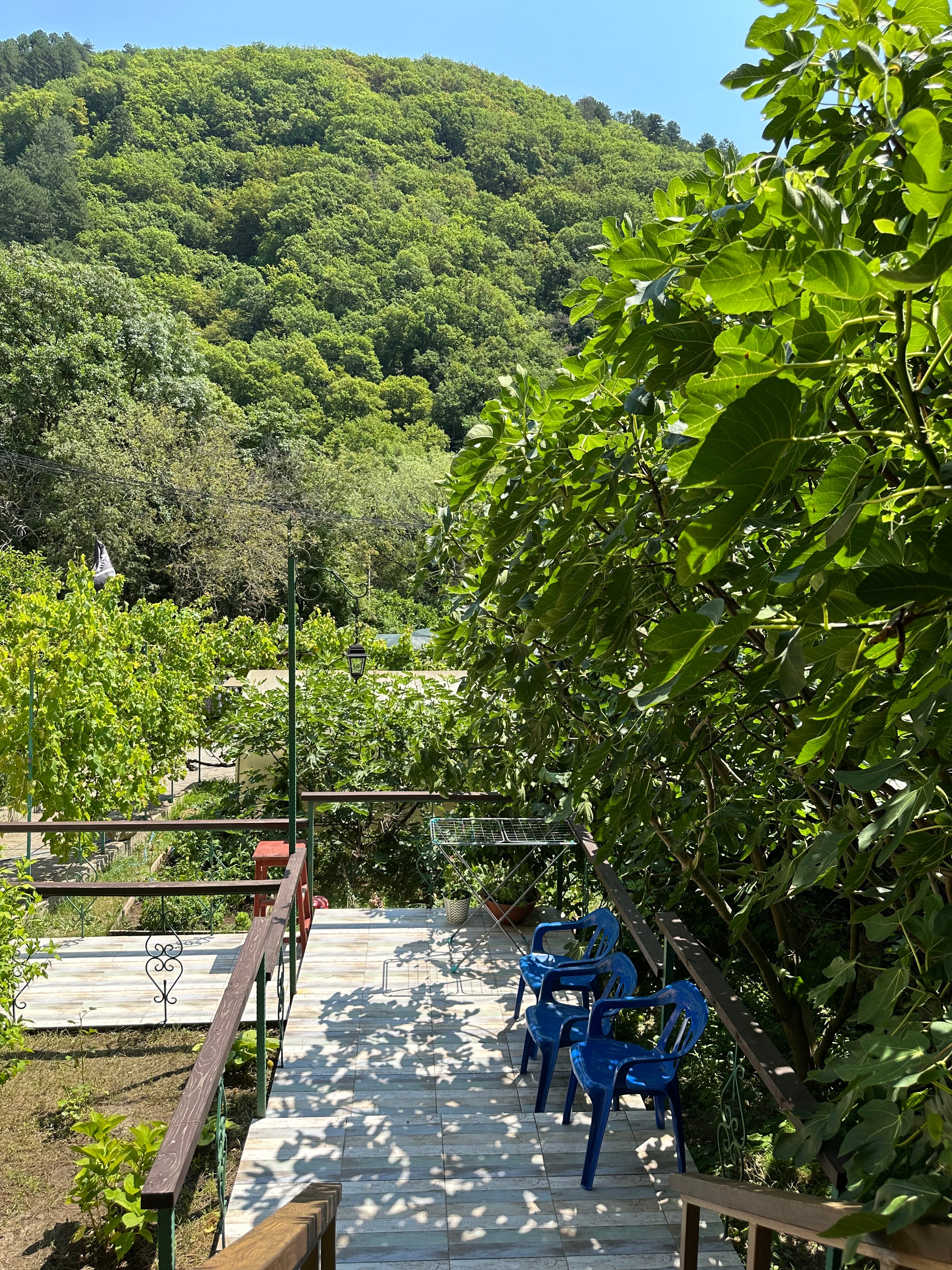 Фото Лесной домик Ель