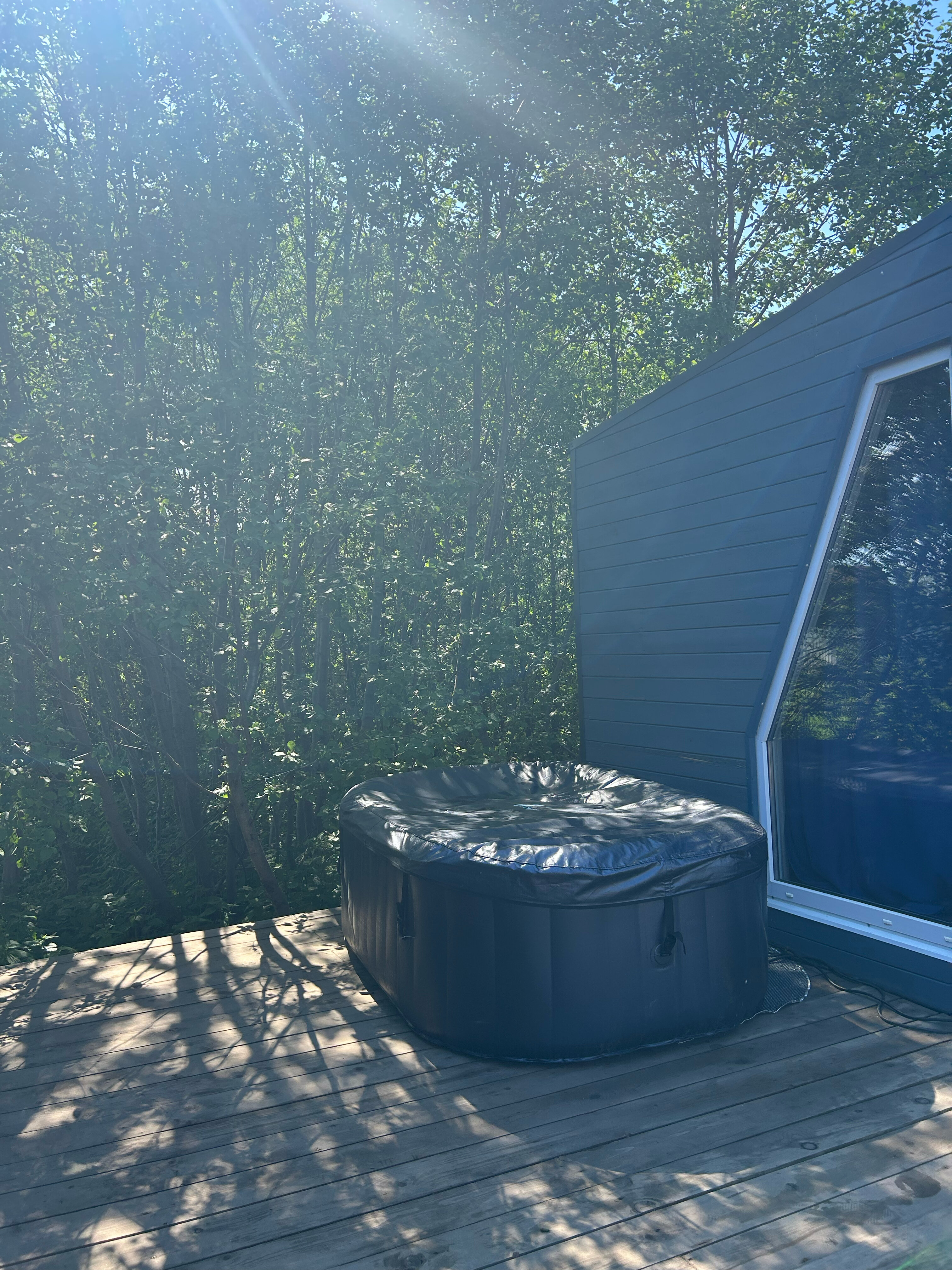 Фото Дельта