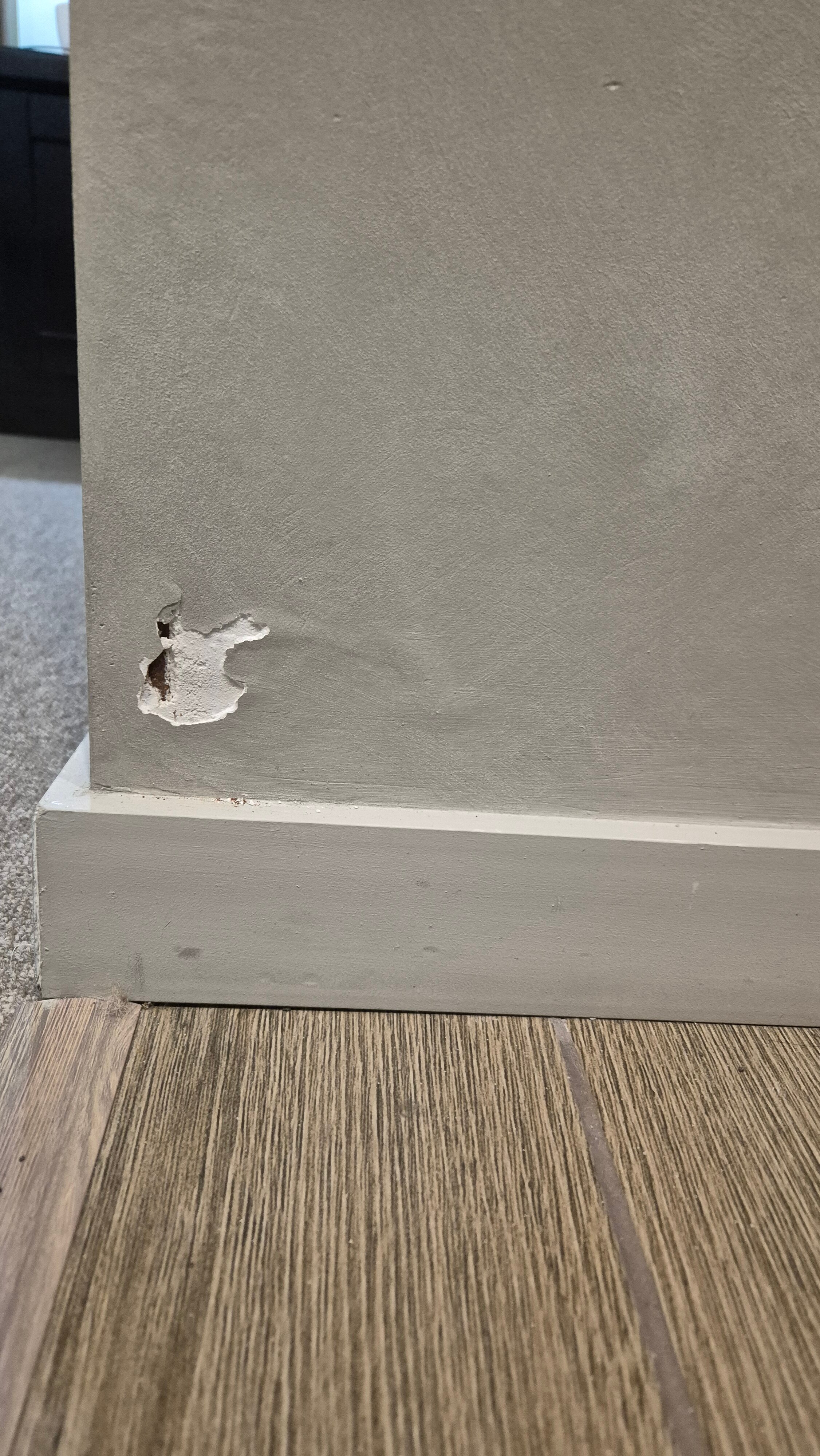 Фото Берёзка