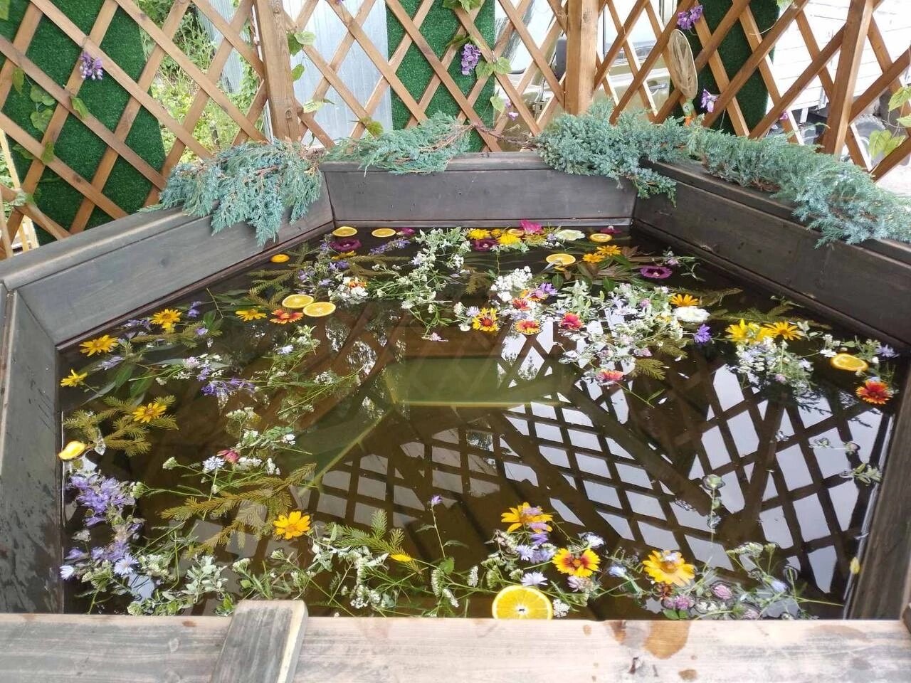 Фото Адмирал