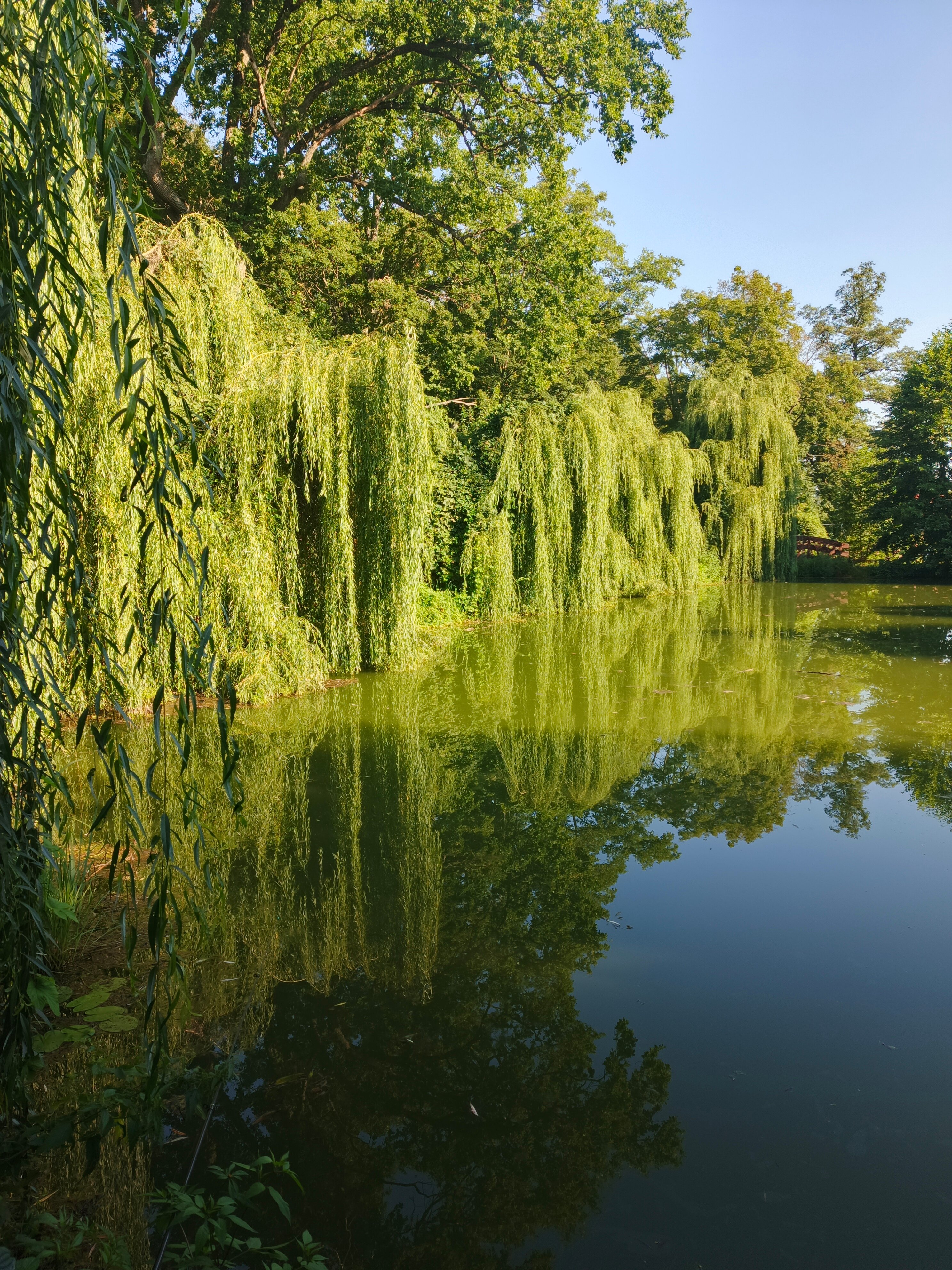 Фото Хутор Калина Красная