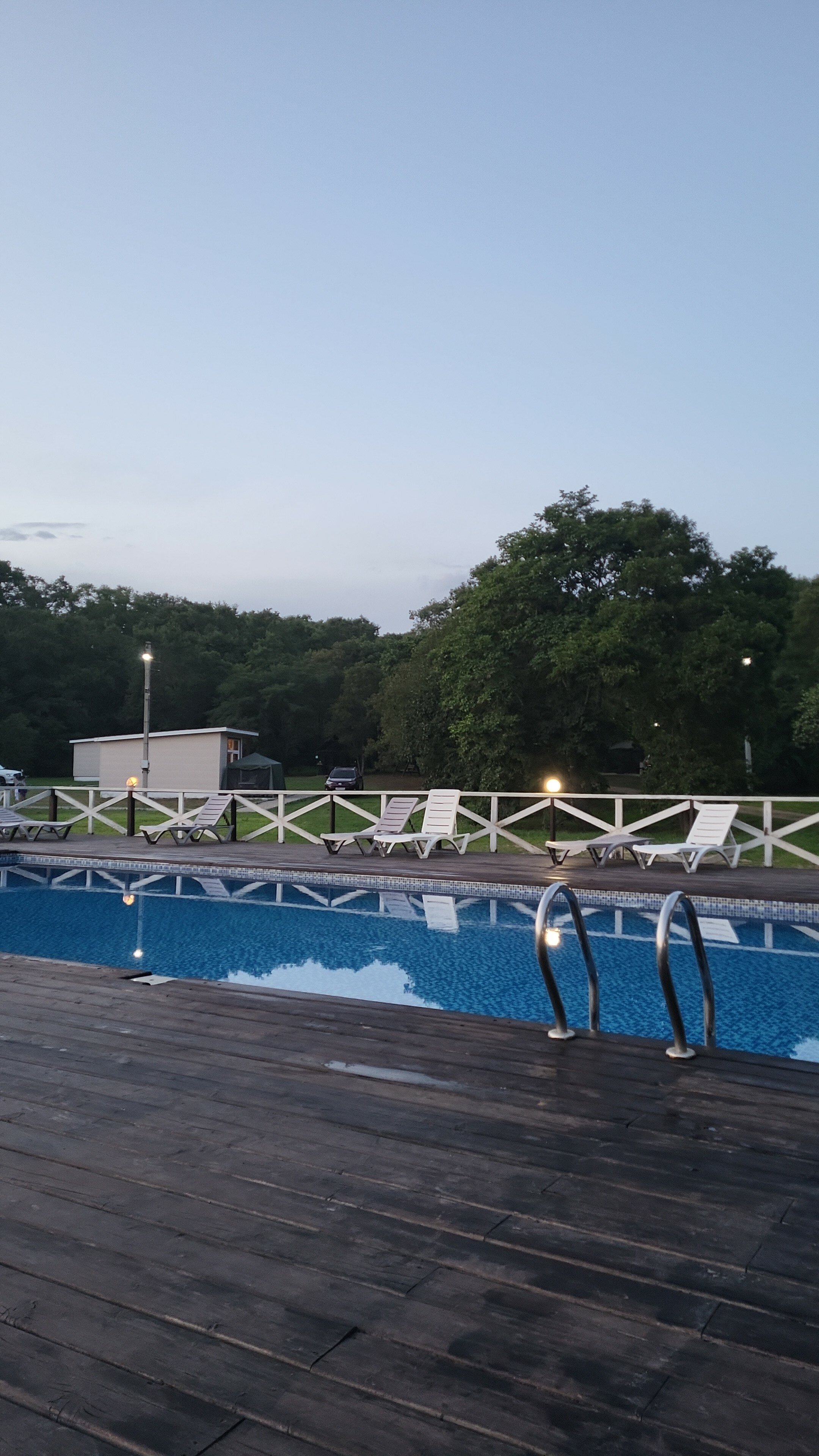 Фото Ковчег