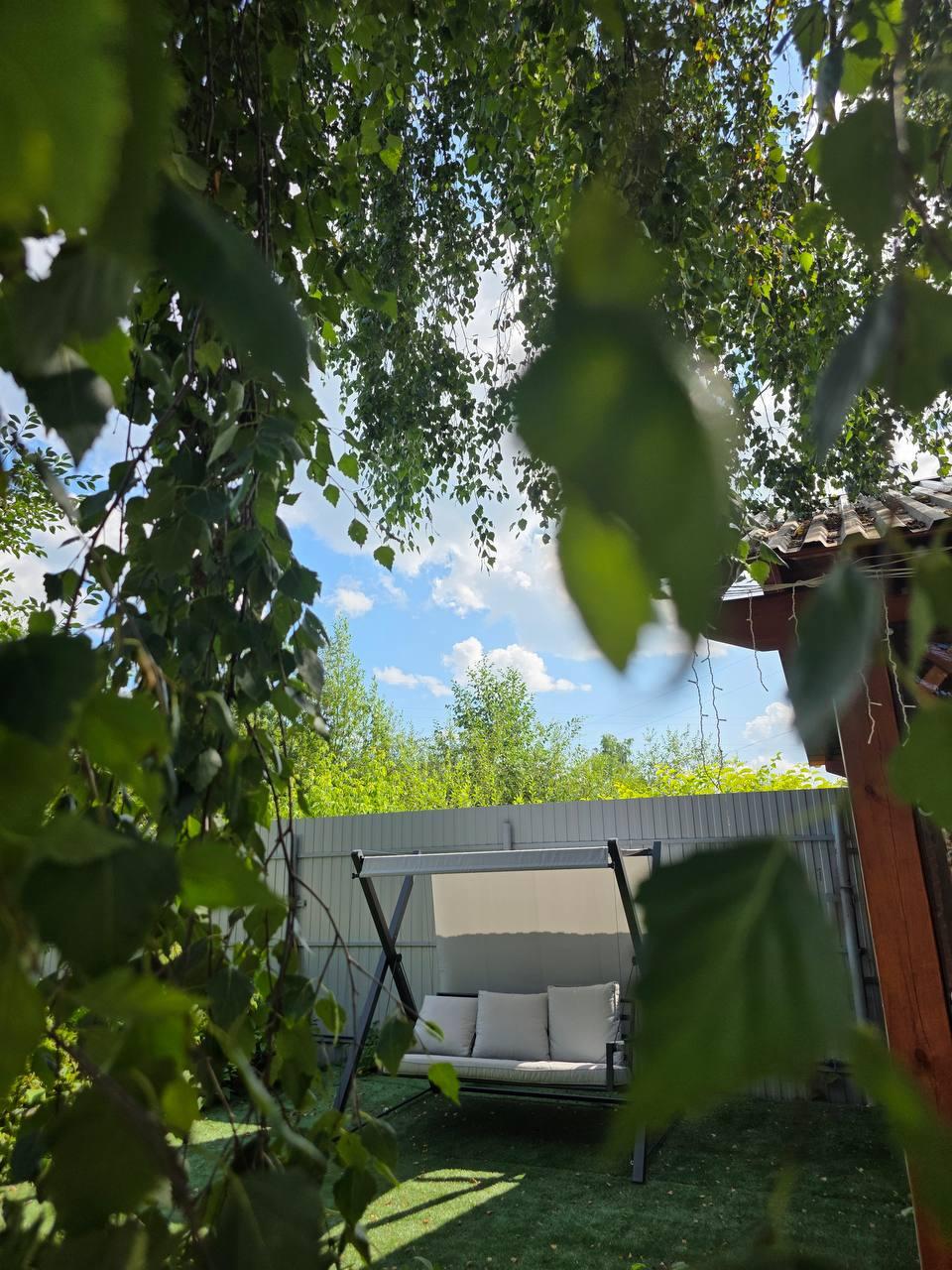 Фото Две берёзки