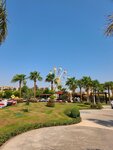 سباق السيارات (جنوب سيناء, شرم الشيخ, Rixos Premium Seagate) ، سباق السيارات