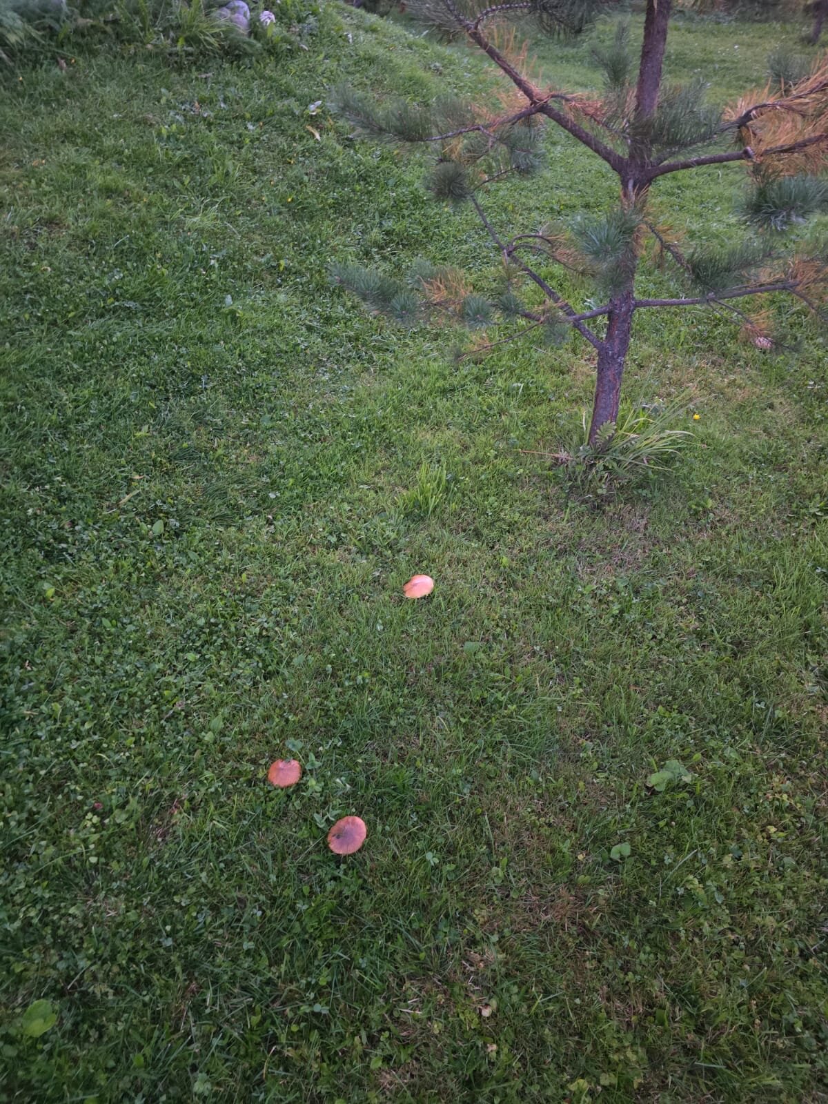 Фото Rantueguest 1