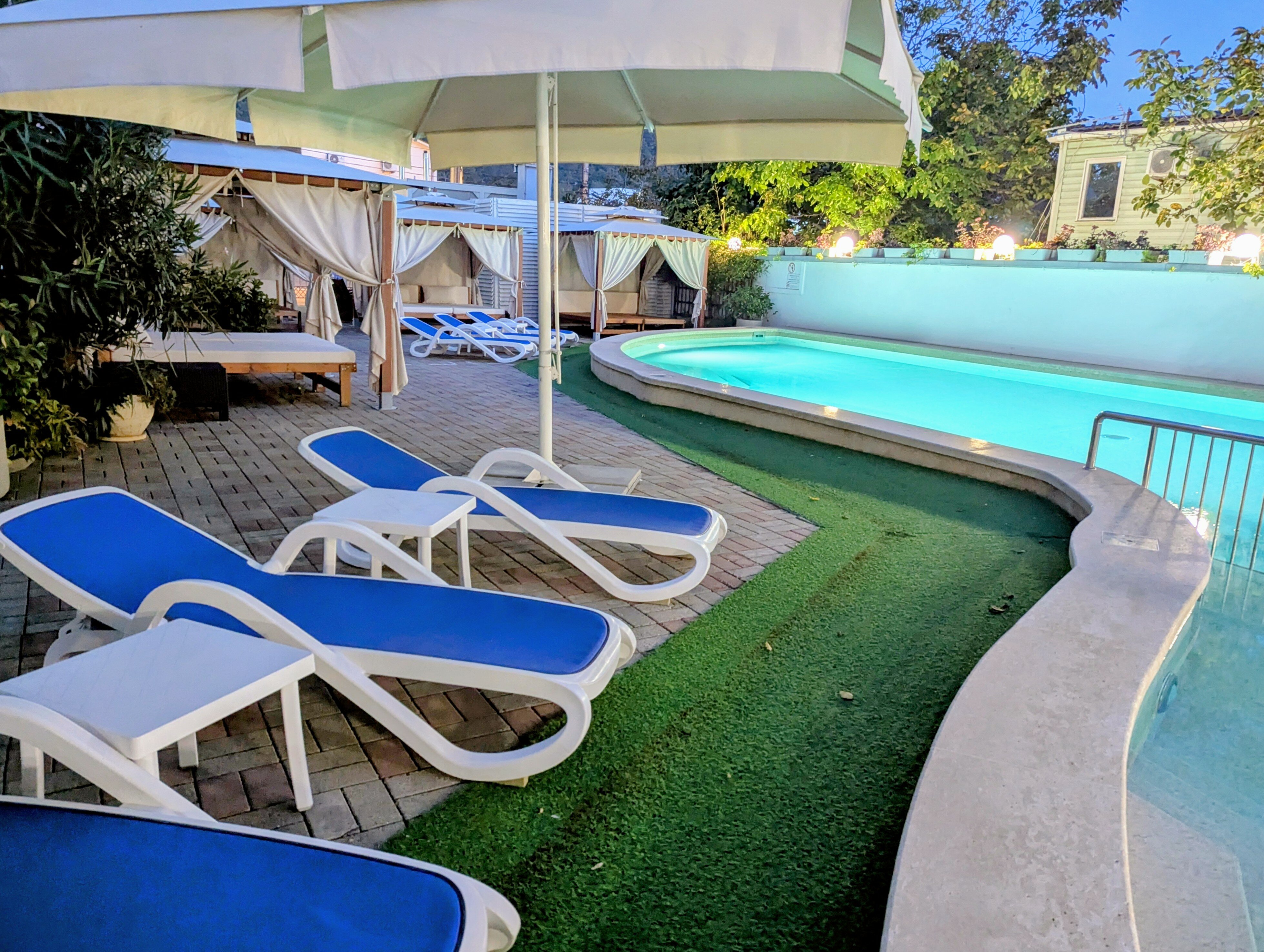 Фото Роза Ветров