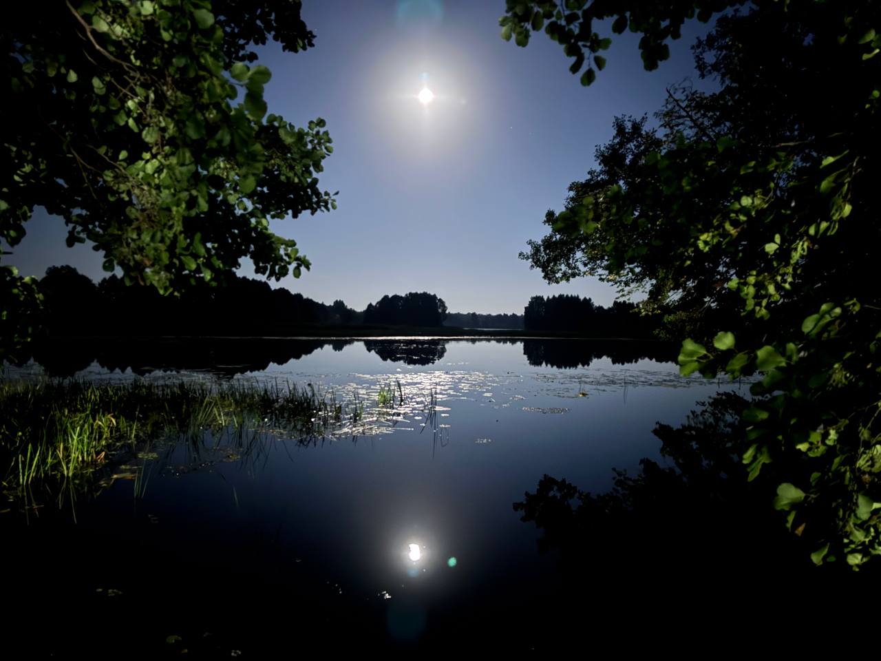 Фото Щукино