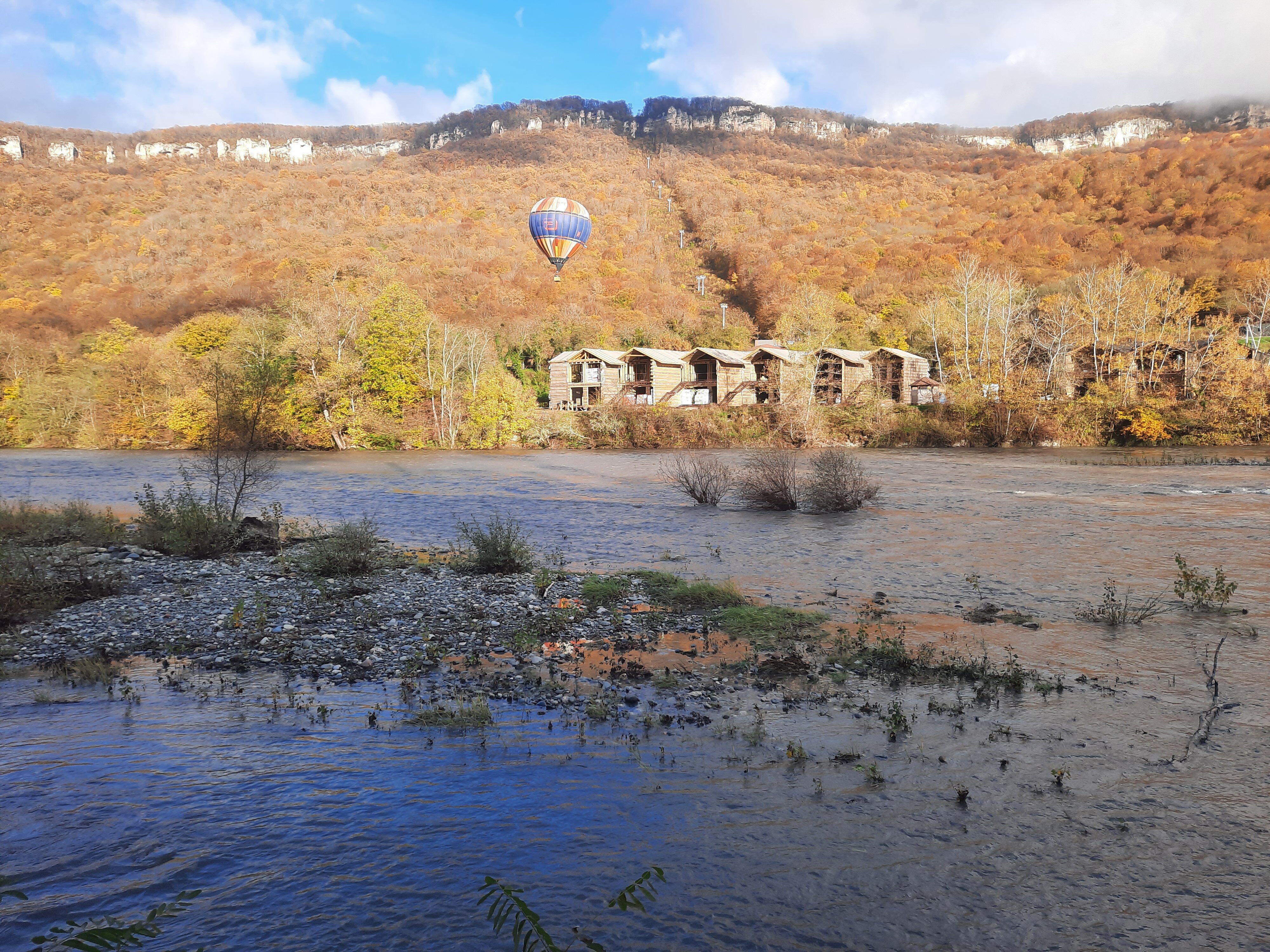 Фото Кактус Арт