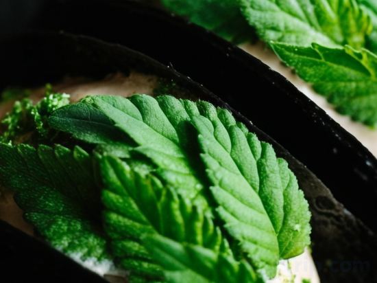 Фото Terra - The Magic Place