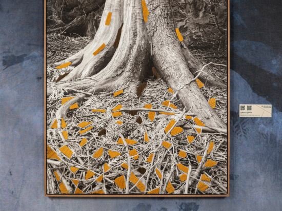 Фото Hotel Vp Jardín Metropolitano