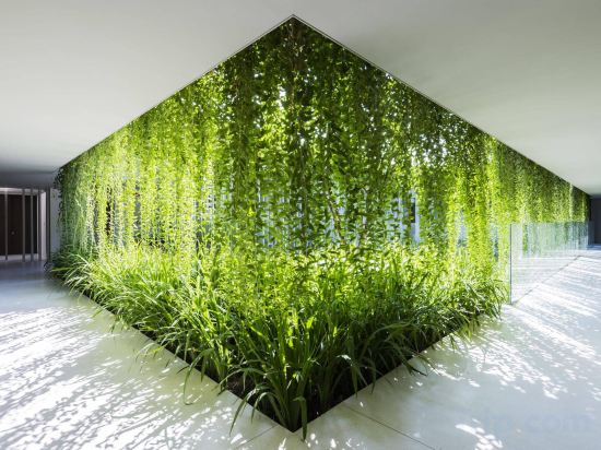 Фото Naman Retreat