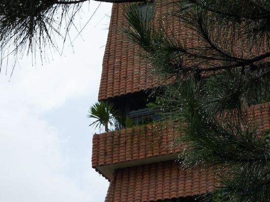 Фото Mùa Dalat Wellness Hotel