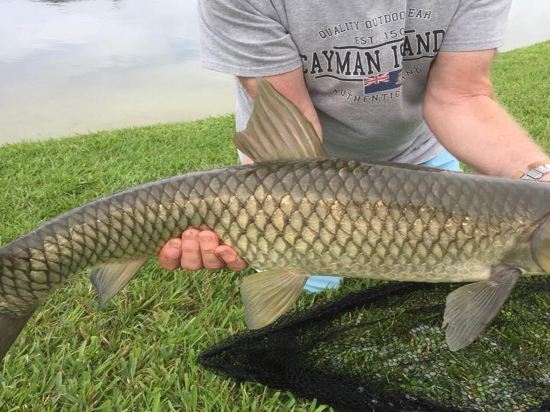 Фото Paradise at Lake Berkley