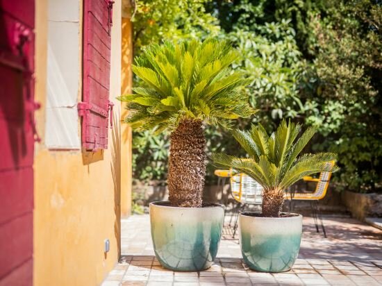 Фото Hôtel le Pigonnet