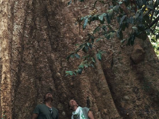 Фото Amritara Riverside Luxury Tents