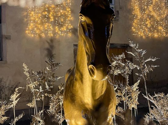 Фото Hôtel Les Haras