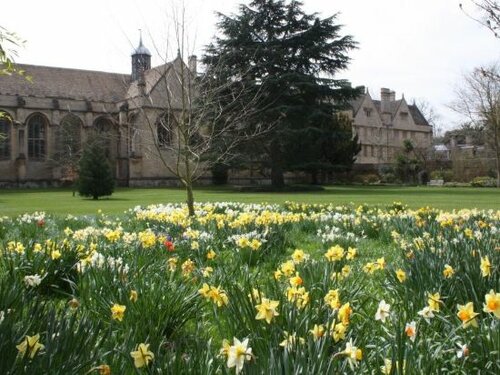 Гостиница Wadham College Oxford в Оксфорде