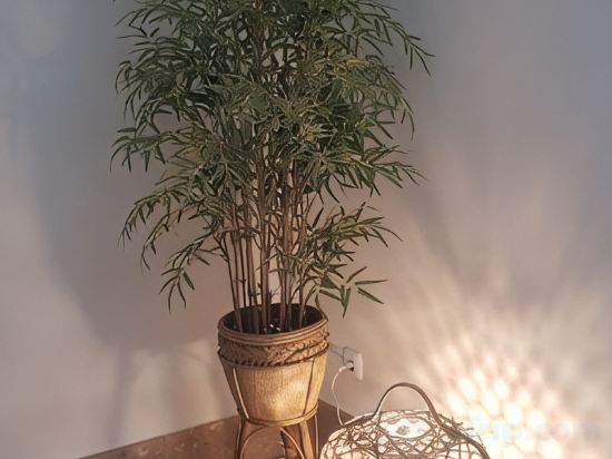 Фото Hotel Oriente