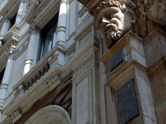 Фото Sina The Gray