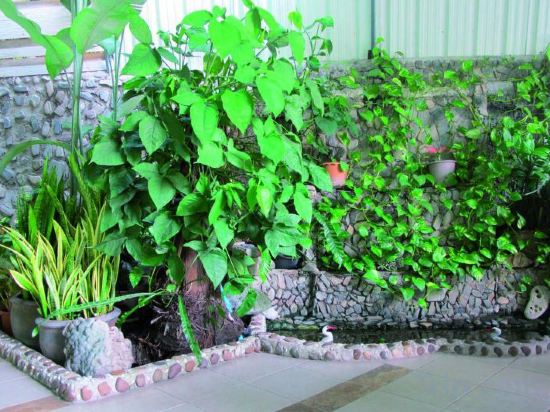 Фото NN Apartment