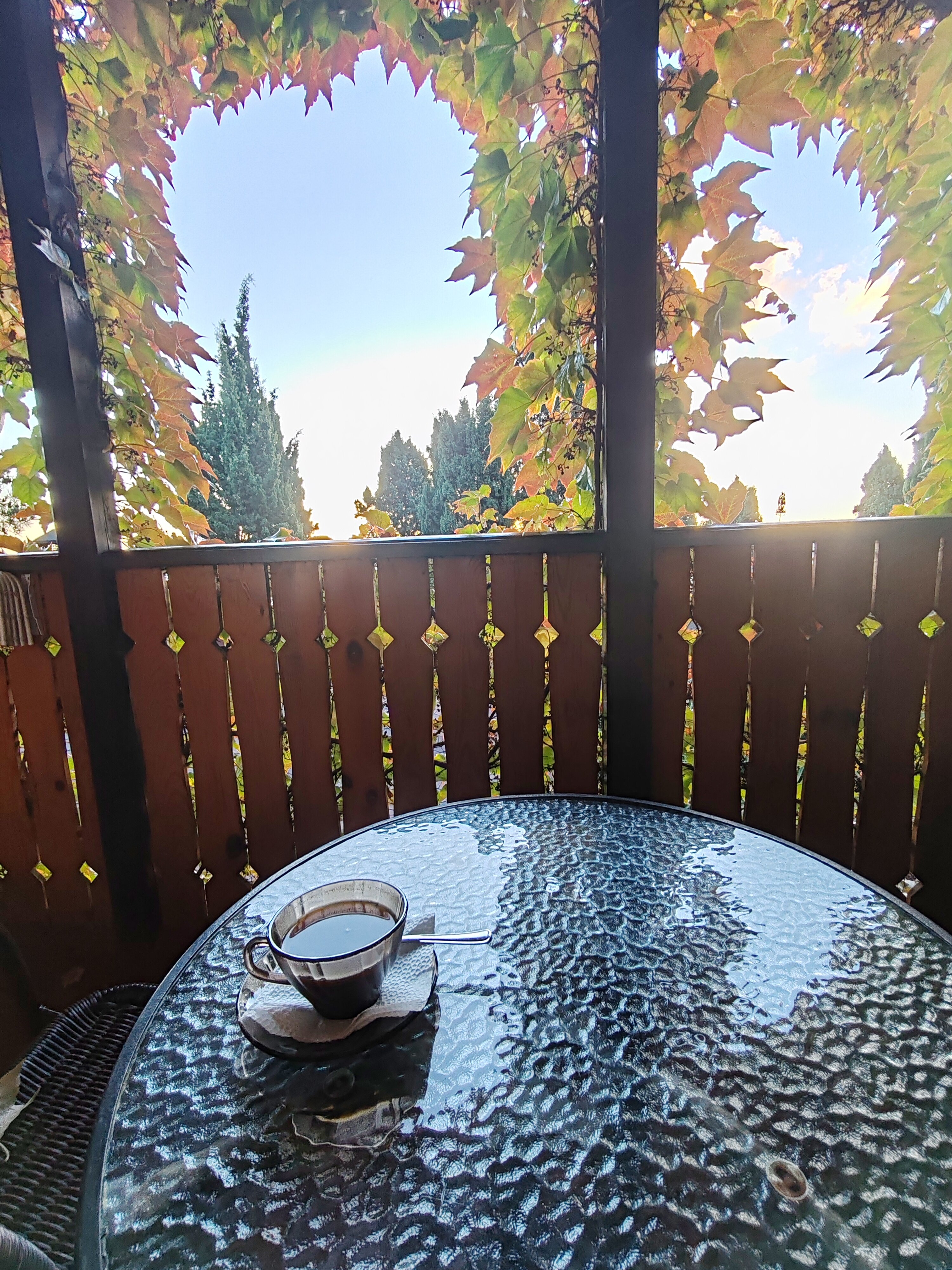 Фото Водолей