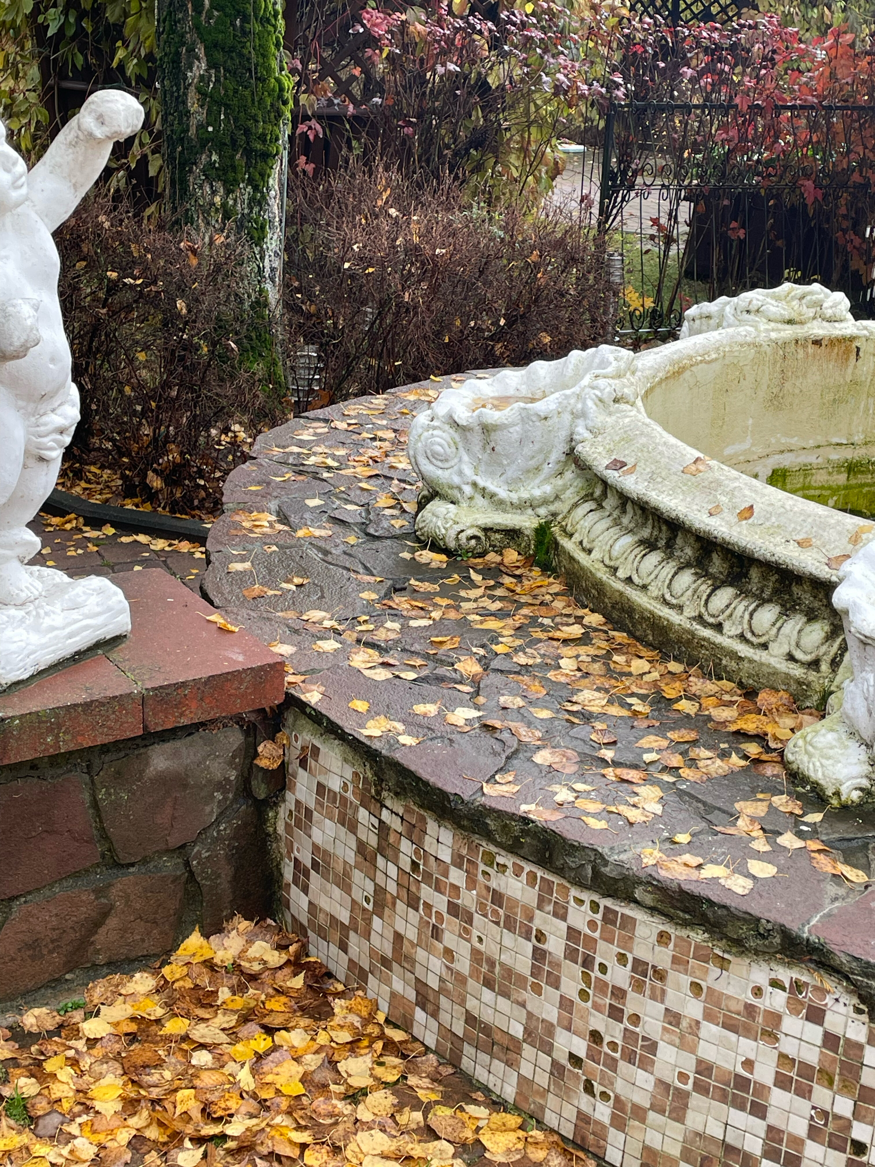 Фото Маёнтак Птичь