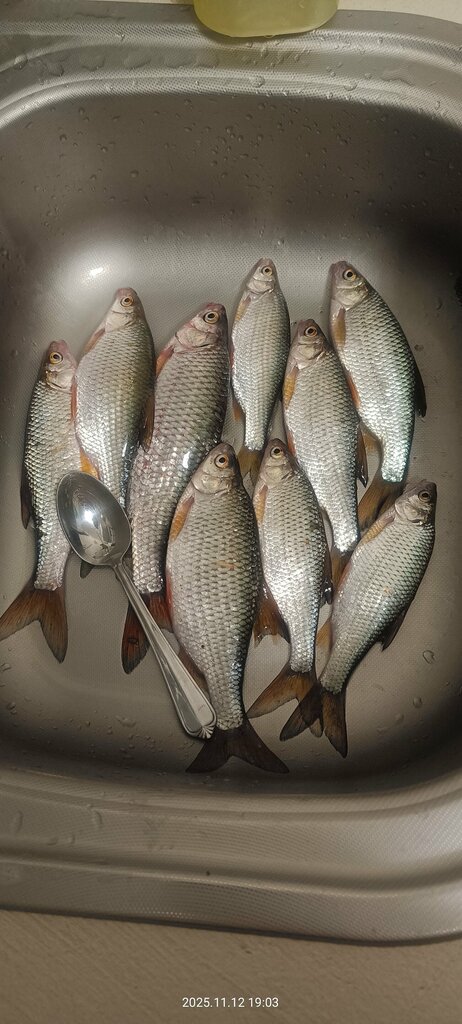 Fishing gear and supplies Удачная рыбалка, Tobolsk, photo