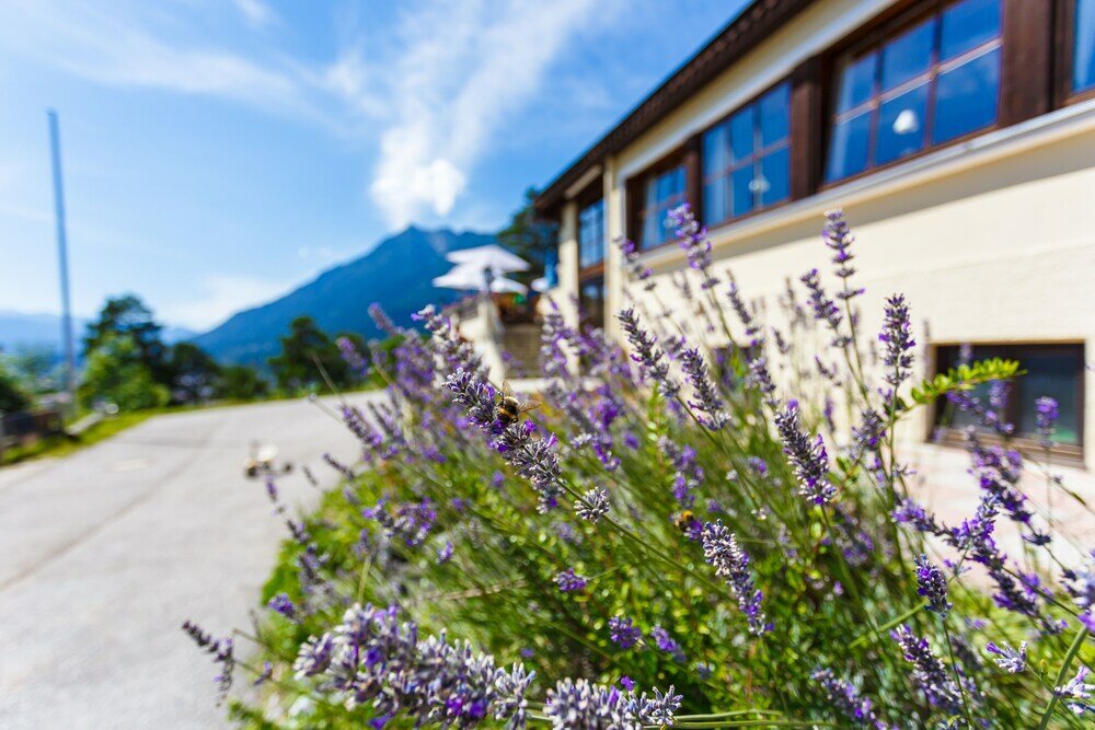 Фото Landhotel & Berggasthof Panorama