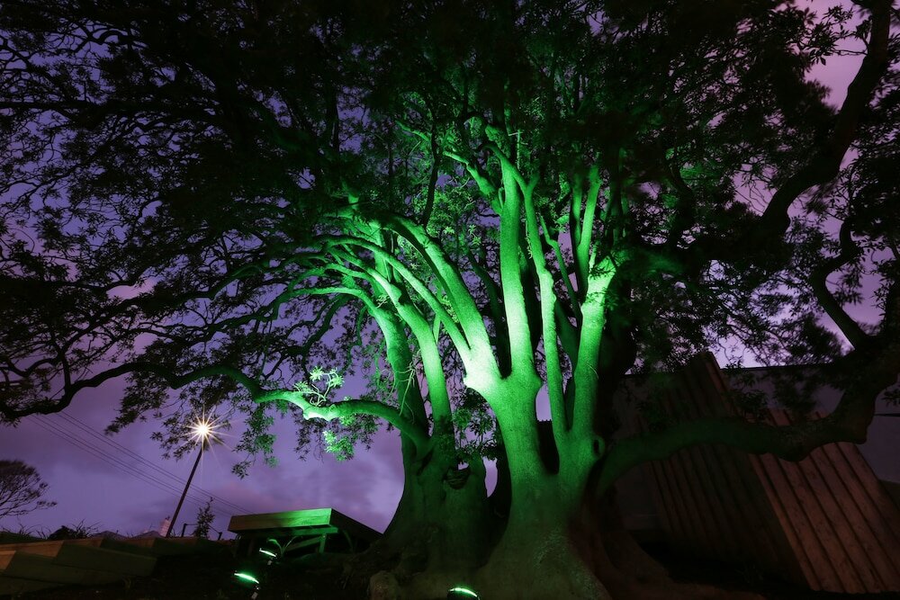 Фото Novotel New Plymouth Taranaki