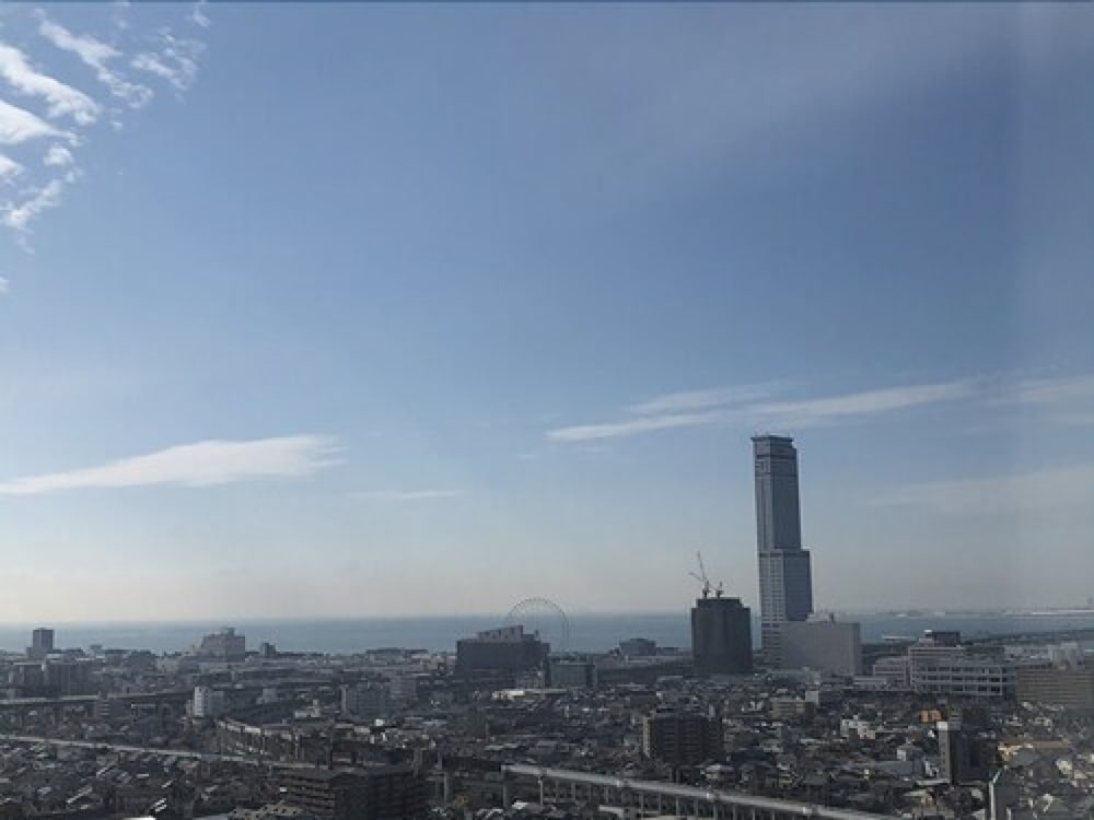 Фото Izumisano Center Hotel