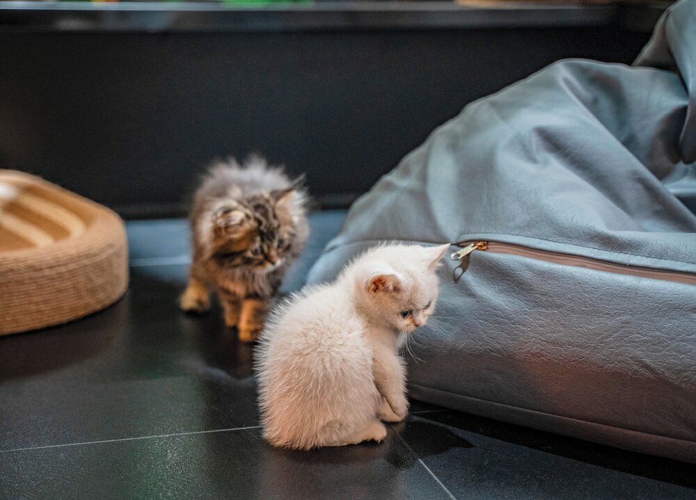 Фото HeSu Designer Hotel Xi'an Drum Tower & Yongning Gate Branch