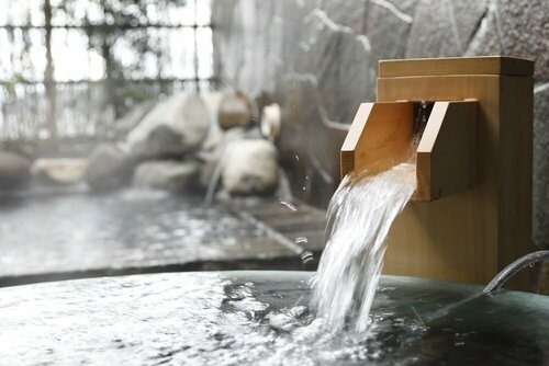 Гостиница Dormy Inn Fukui Natural Hot Springs в Фукуи