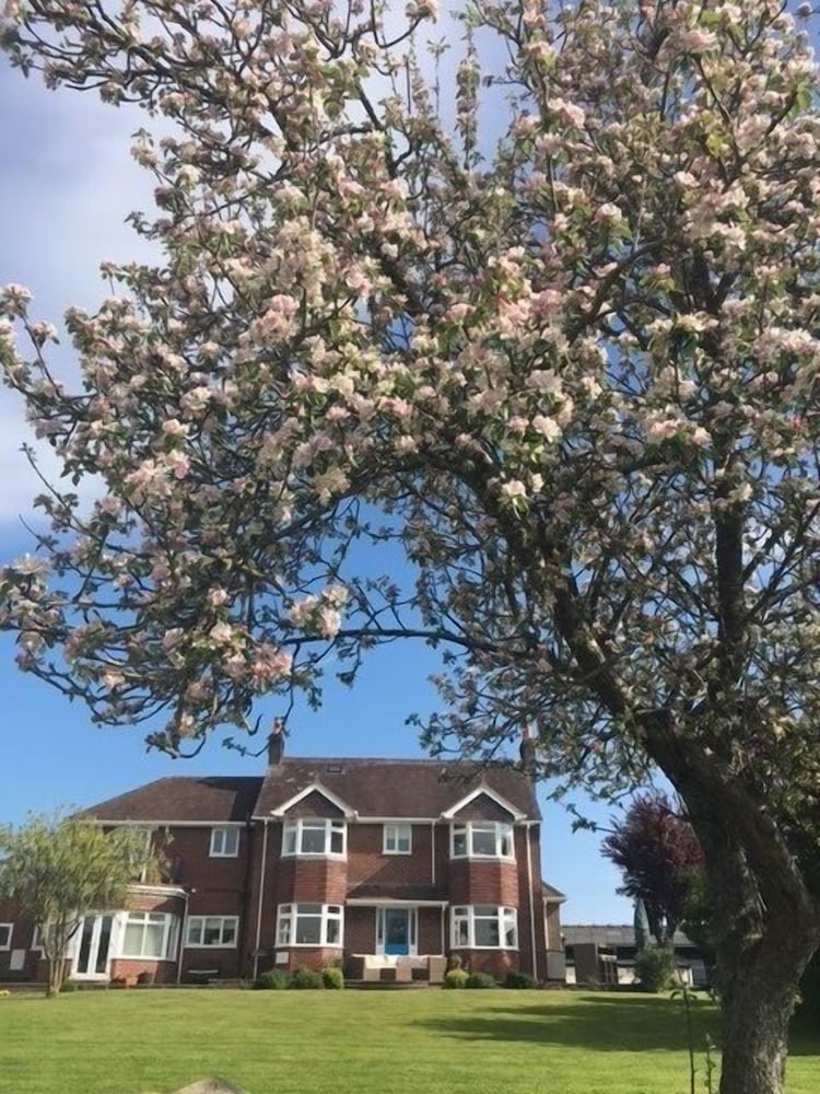 Фото The Moorhead Bed & Breakfast