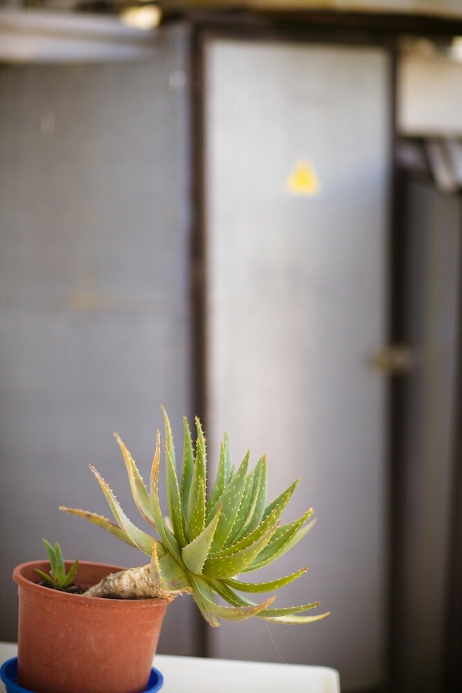 Фото Pensión dulces sueños