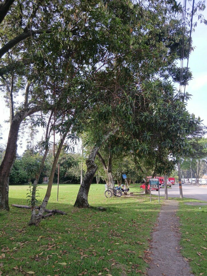 Cafe Parque Challenger, Bogota, photo