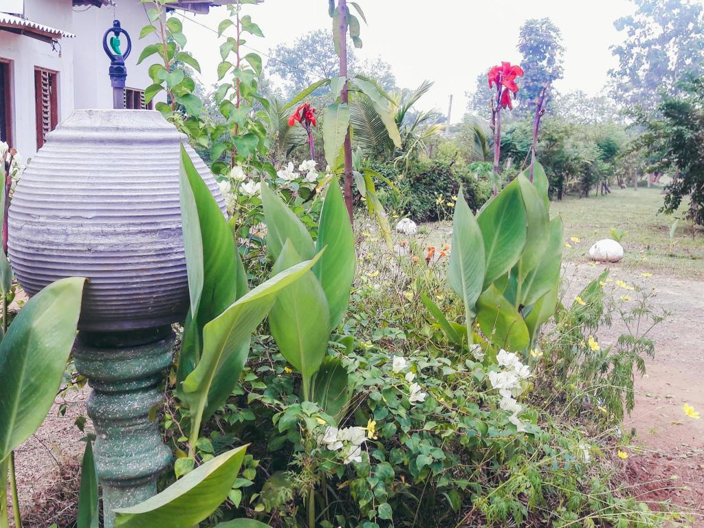 Фото Wenasa Hotel