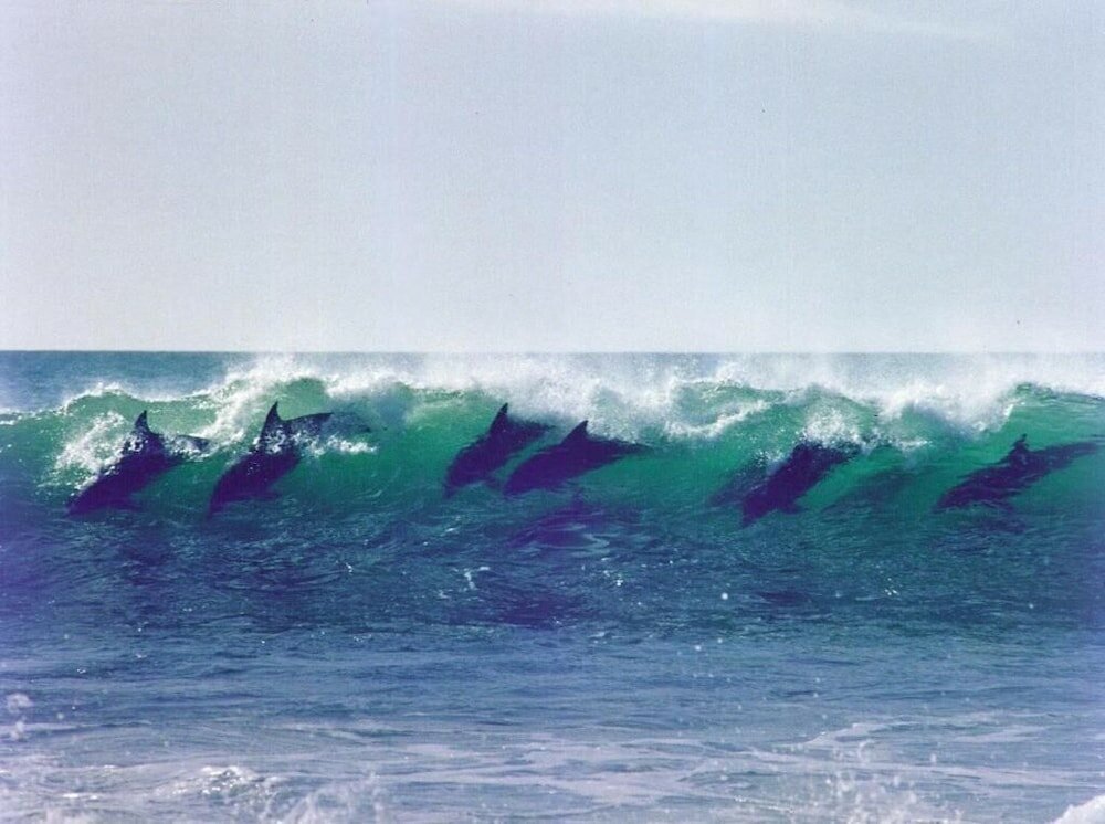 Фото Diaz 15 House on the Bay