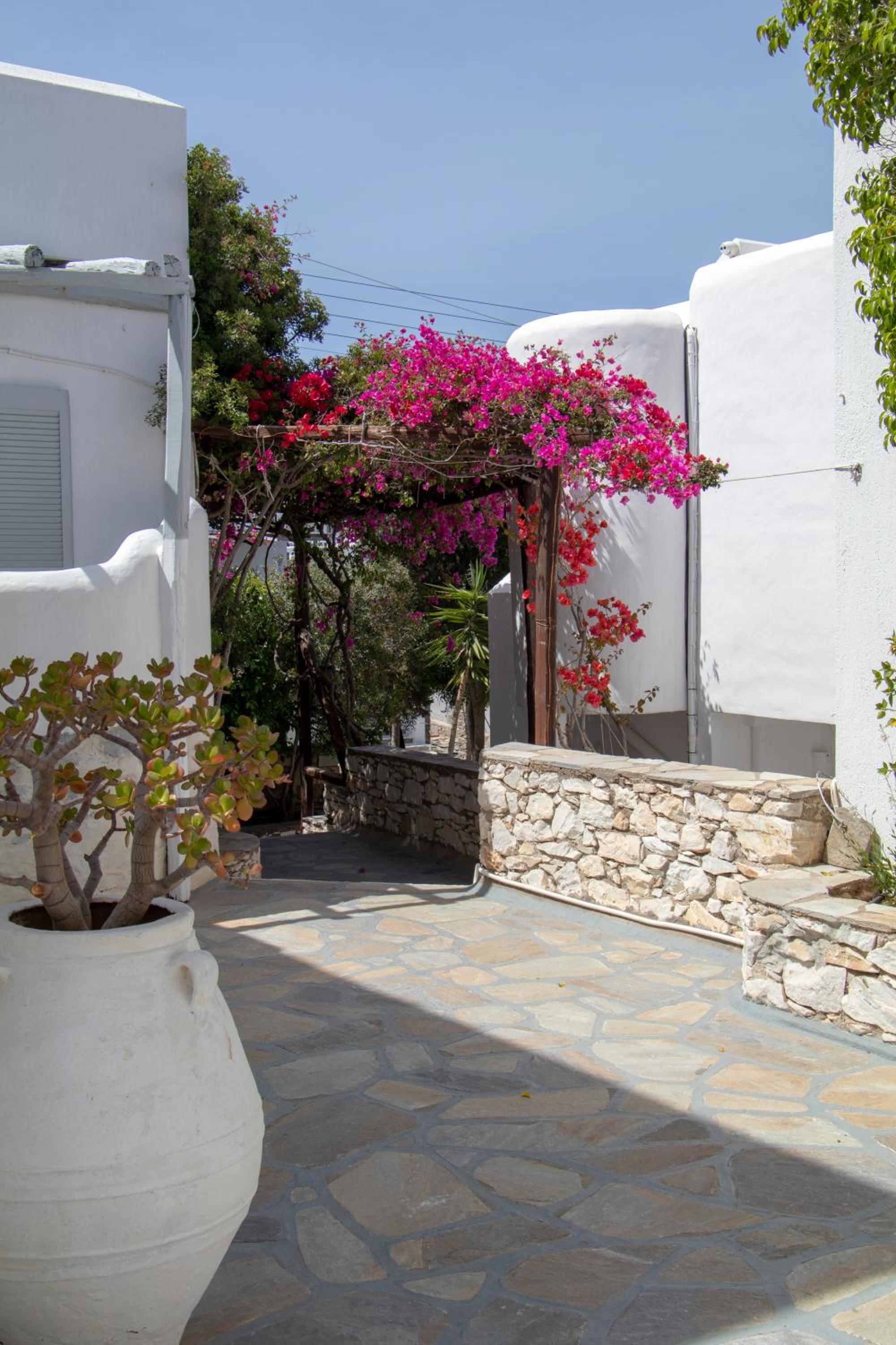 Фото Hotel Manos