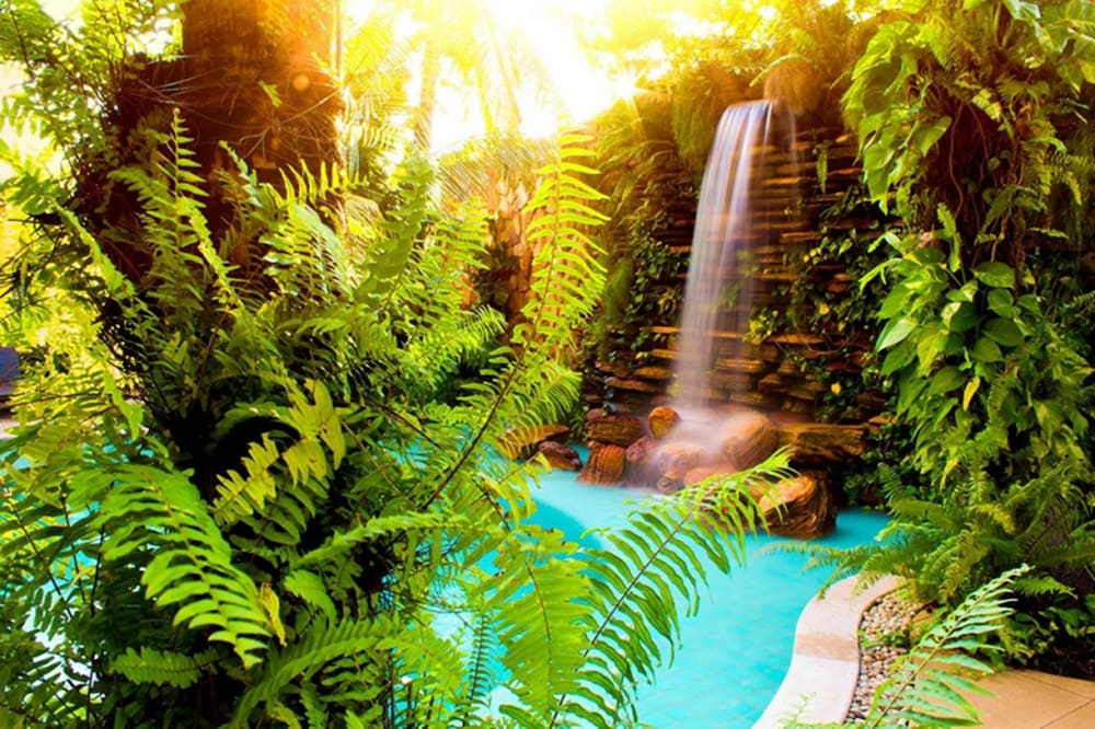 Фото Amazon Plaza Hotel