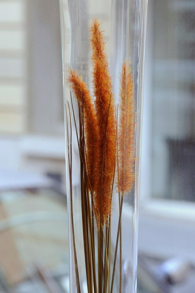 Фото Printania Porte de Versailles