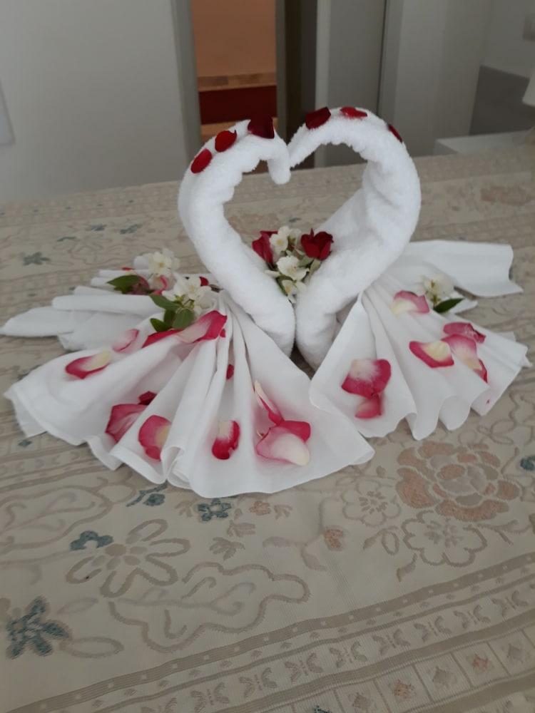 Фото Hotel Minerva