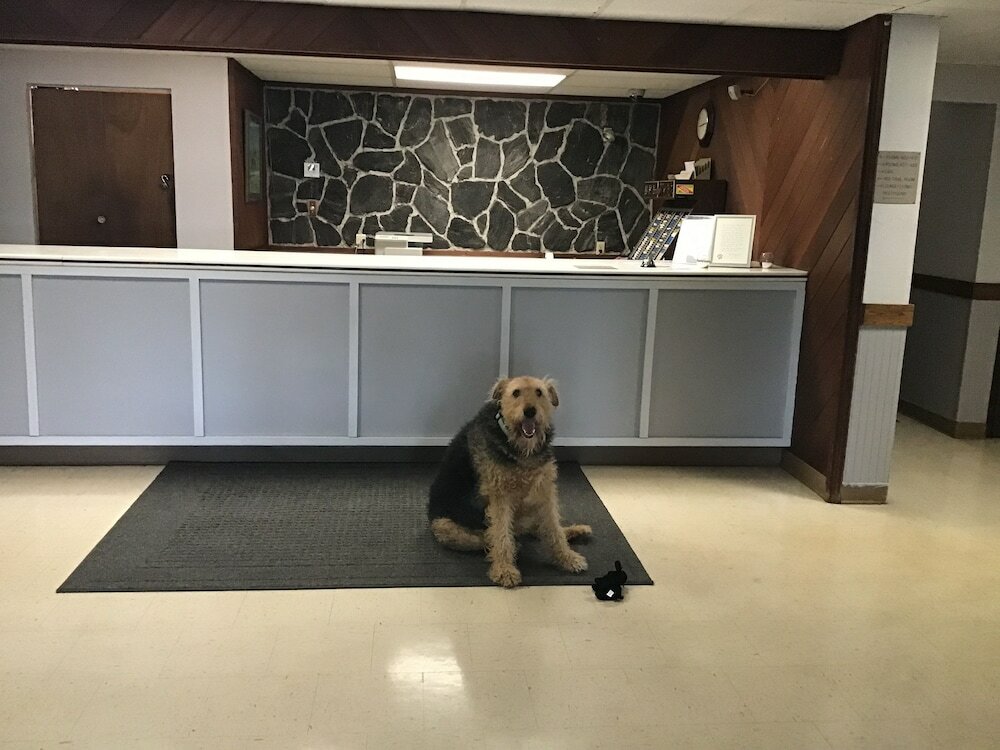 Фото Blackstone Hotel