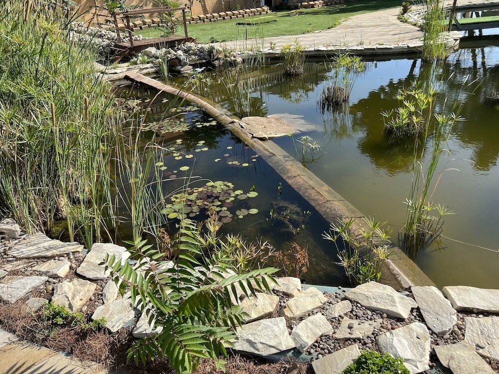 Фото Hotel El Cisne