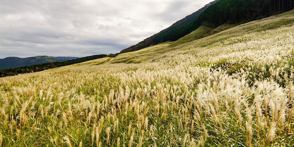 Фото Hakone Onsen Yuyado Yamanosyou