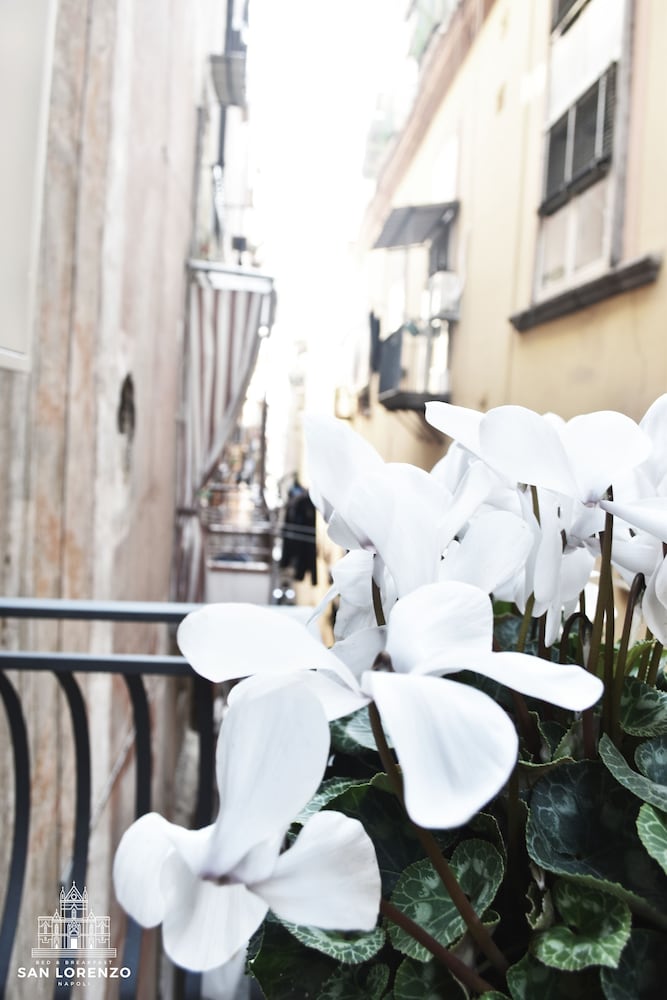 Фото B&b San Lorenzo