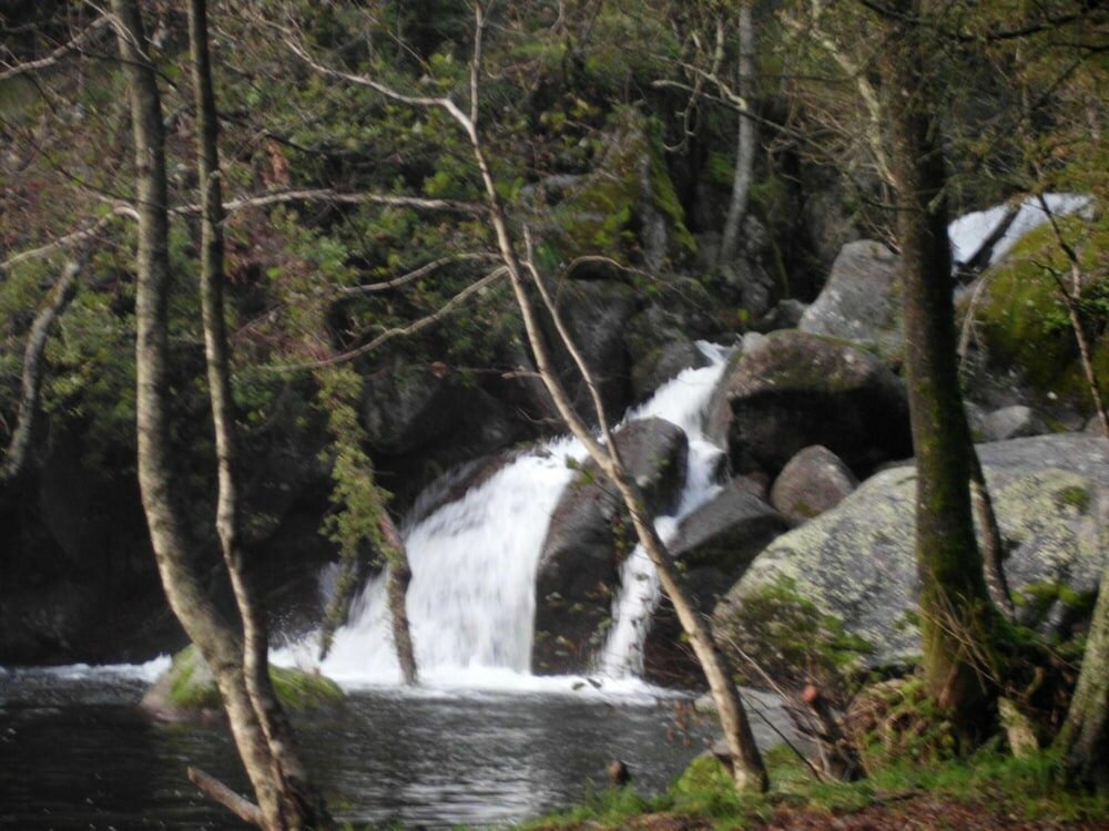 Фото Aldeia do Pontido