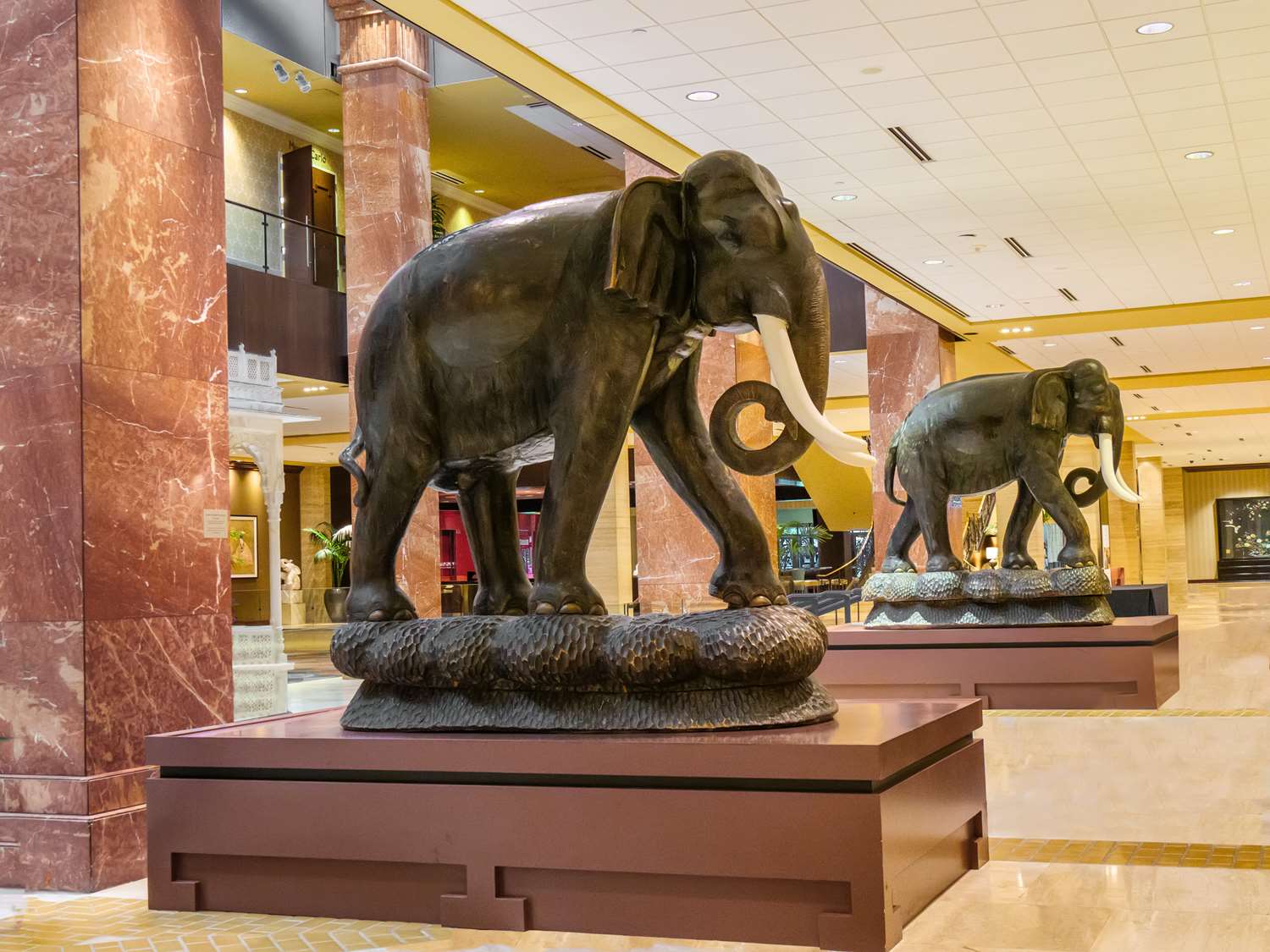 Фото Hilton Anatole