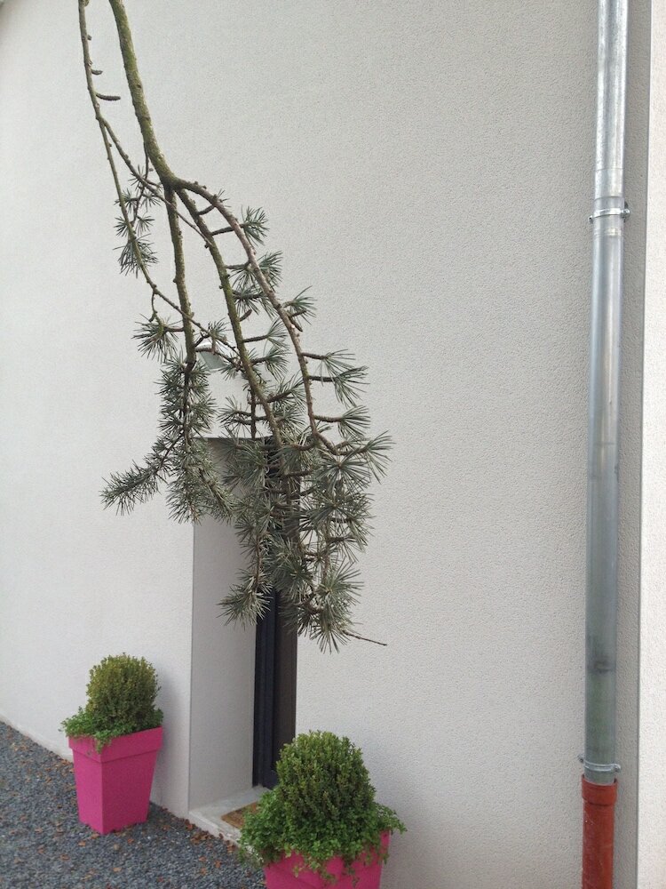 Фото Demeure & Dépendance